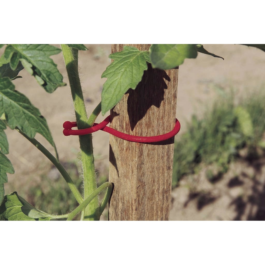 Clips para tomateras  TOMATOCLIP(25)