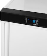 thumbnail of TEFCOLD Lagergefrierschrank UF200 200l Weiß