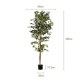 thumbnail of Albero artificiale ficus benjamina 180 cm | Naturing Monde - Interno - Tronco d'albero naturale