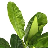 thumbnail of Kunstpflanze / Kunstbaum BANANE I 150 cm grün hjh OFFICE