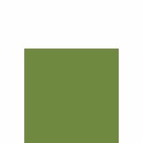 thumbnail of DUNI Zelltuch Serviette 33x33 cm 1/8F. leaf Green