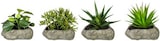 thumbnail of CREATIV green künstliche Pflanze Sukkulenten, 12-15cm, 4er Set