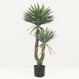 thumbnail of LIGNE DÉCO Yucca artificiel 2 troncs 150cm