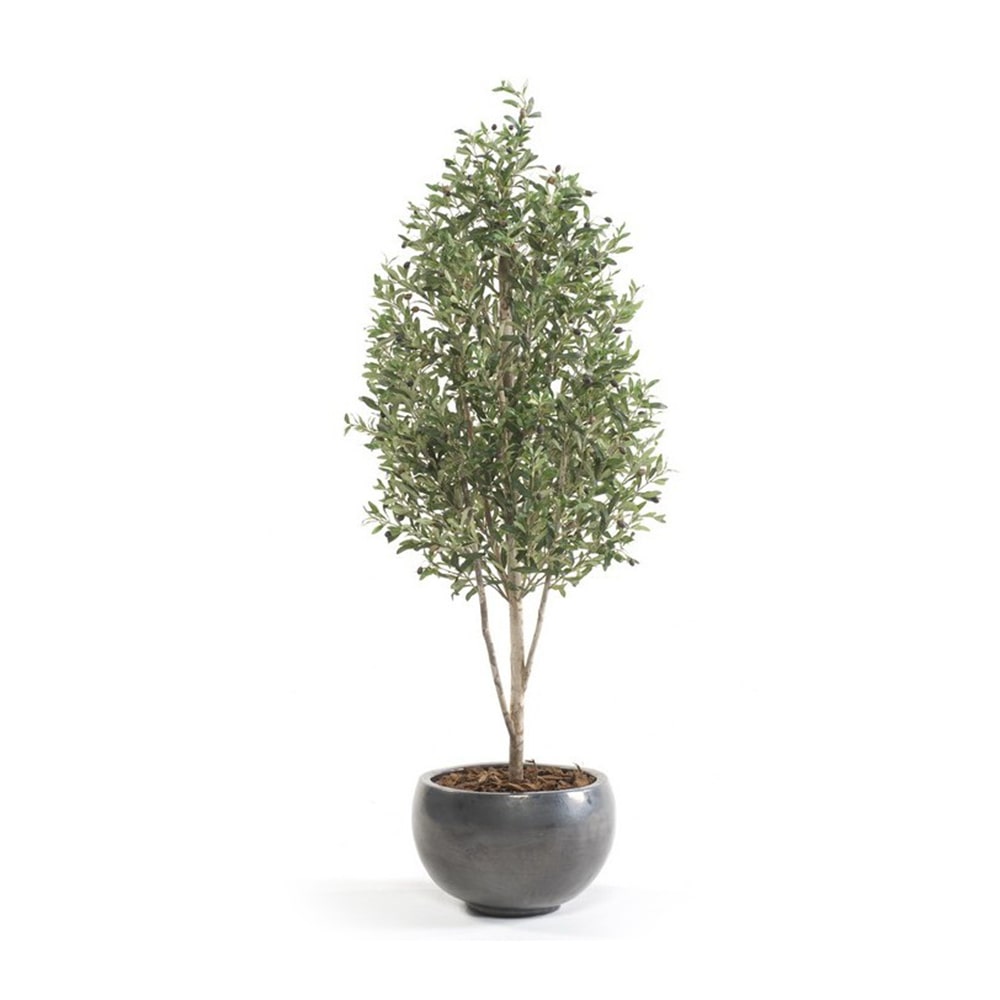 Árbol olivo. Altura 175 cm y 3243 hojas. Con tronco natural y olivas de alto realismo.