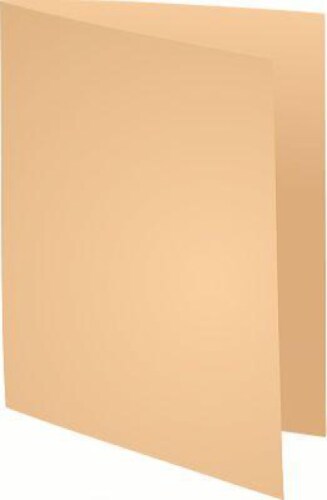 Exacompta 100er Packung Aktendeckeln aus Recycling Karton 220g Forever, 24x32cm