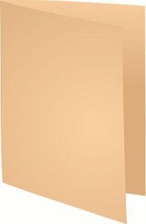 thumbnail of Exacompta 100er Packung Aktendeckeln aus Recycling Karton 220g Forever, 24x32cm