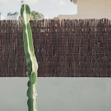 thumbnail of Brezo ecológico medium plus  BRUC PLUS 2x5m NATURAL