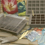 thumbnail of Kit de bandeja de cultivo Plantio de kit 35x23,5cm Marron