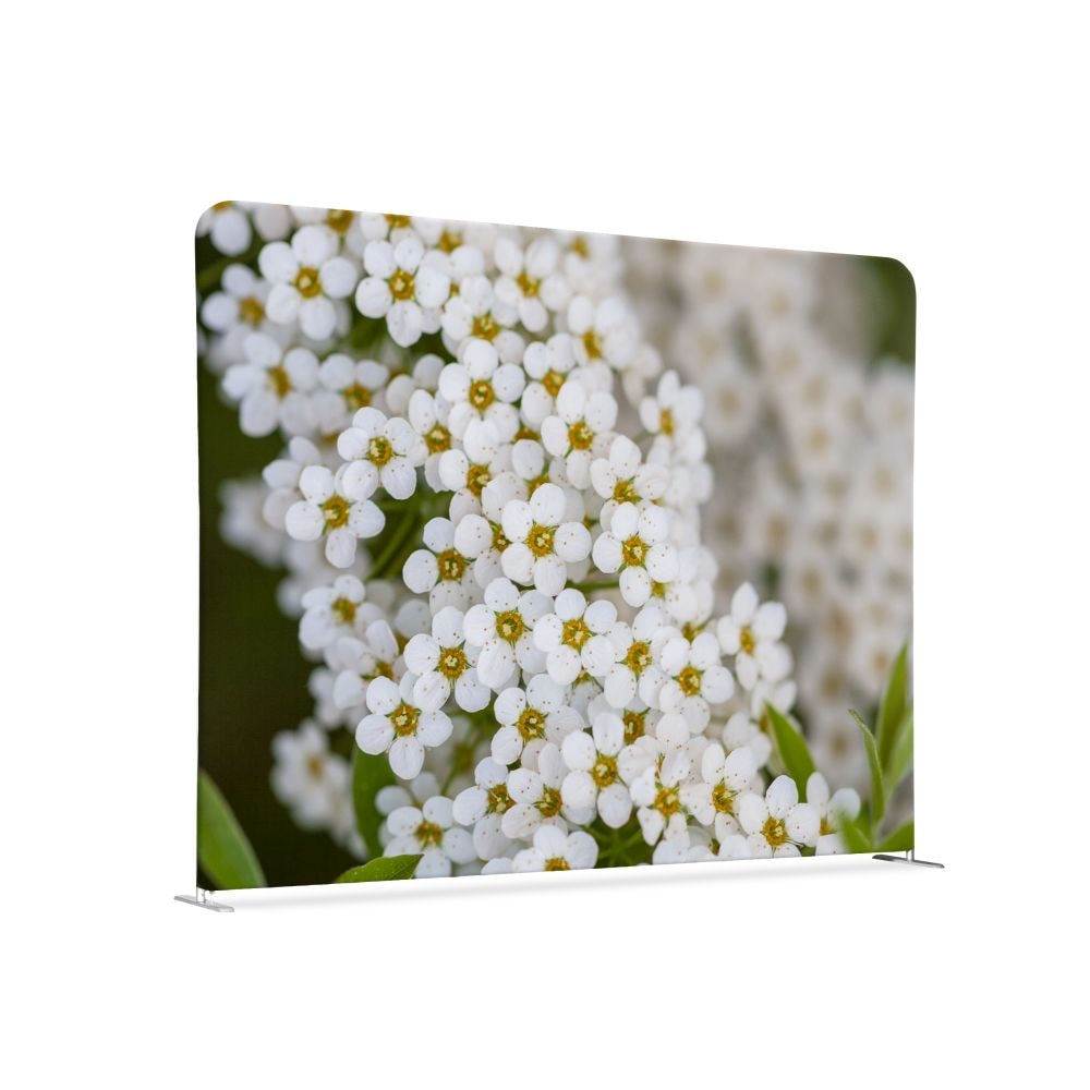 Showdown Textil Raumteiler Basic - 200-150 Doppel Weiße Blume Spirea - Weiß - Silberner Rahmen