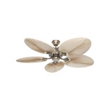 thumbnail of Caribbean Dream Eco II, vermessingter Ventilator ohne Licht, Casafan