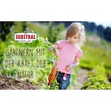 thumbnail of Substral Naturen Obstmaden-Falle Nachrüstset, gegen Apfelwickler