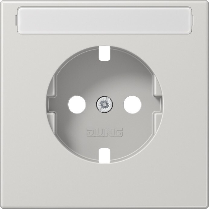 Jung Platte LS 1520 NAPL LG LS1520NAPLLG