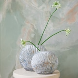 thumbnail of Vase 20x16cm Glas Blumenvase Glasvase Tischvase Blumen Dekovasen Tischvasen Gastronomie Tischdeko Hochzeitsdeko Vasen Weiß Beige Blau