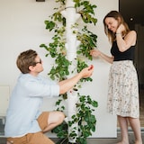 thumbnail of Erdbeerpflanzgefäß SISSI STRAWBERRY Infinity weiß