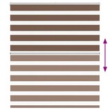 thumbnail of vidaXL Doppelrollo Braun 120x150 cm Stoffbreite 115,9 cm Polyester
