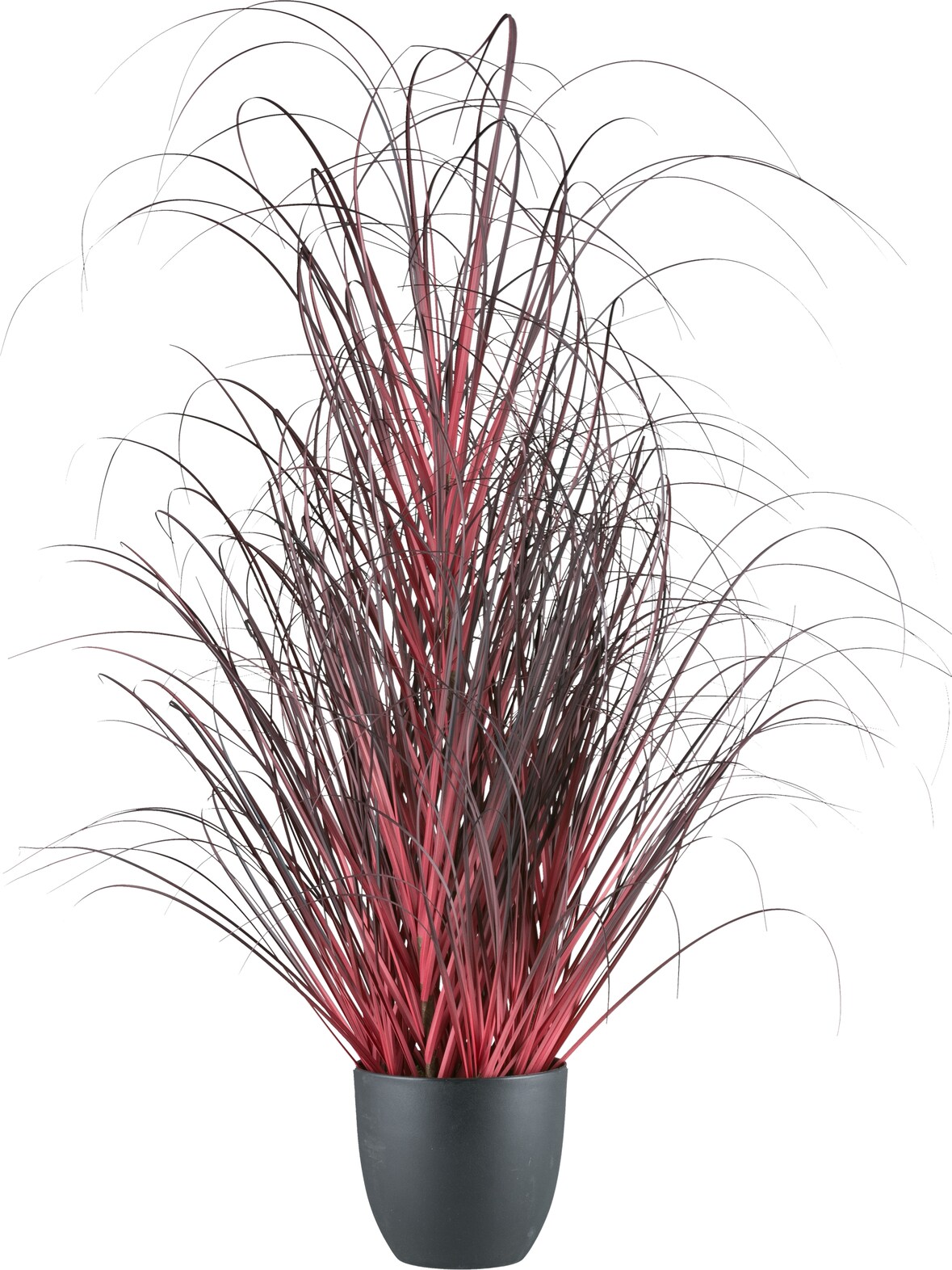 CREATIV green künstliche Pflanze Gras im Topf, 102cm, dunkelrot