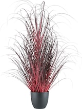 thumbnail of CREATIV green künstliche Pflanze Gras im Topf, 102cm, dunkelrot