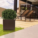 thumbnail of WellHome - Pflanztopf aus Polyethylen in Bronze 50x50x50cm