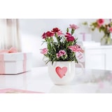 thumbnail of Villeroy & Boch With Love Henkelbecher Sending Love 290 ml