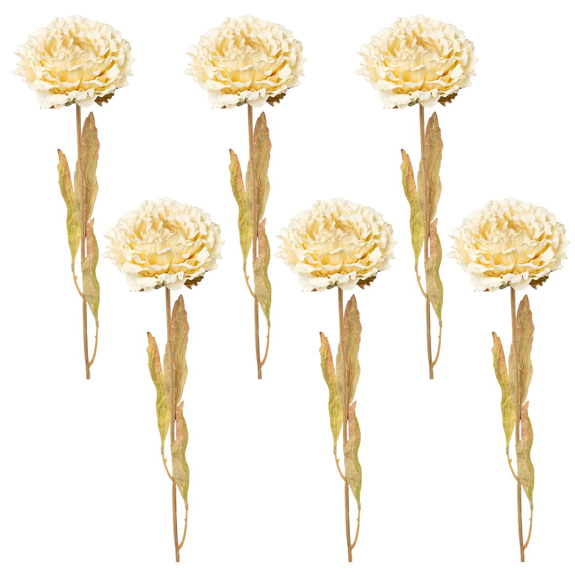 CREATIV green künstliche Pflanze Peonie, 64cm, creme, 6er Set