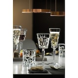 thumbnail of RCR set van 6 waterglazen Etna, transparant glas, 28 cl