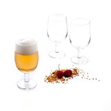 thumbnail of Arcoroc Bell Coffret 6 Verres à Bière en Verre Tendu 29Cl