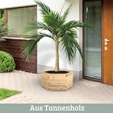 thumbnail of Pflanzkasten Holz 6-eckig MICHA - Inkl. Vlies und Handschuhe | Pflanzkübel Tannenholz Blumenkasten Blumenkübel Blumentopf Terrasse, 60cm Breit
