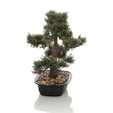 thumbnail of Kunstpflanze / Kunstbaum BONSAI 44 cm grün hjh OFFICE