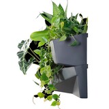 thumbnail of Prosperplast - Macetero vertical CASCADE GARDEN WALL - 78x19x35cm en color Antracita