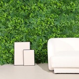 thumbnail of Siepe artificiale Cielo verde| Naturing Monde - 1x1M - Per interni ed esterni - Materiale 100% HDPE di alta qualità