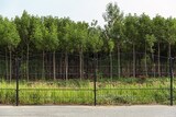 thumbnail of Gartenzaun Mattenzaun Doppelstabmattenzaun Anthrazit Grau Rund 0,8 m x 40 m