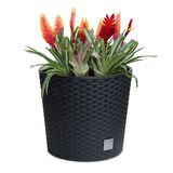 thumbnail of 2 x Blumentopf Blumenkübel Pflanzentopf Pflanzkübel Blumenkübel Rattan groß 2 x Ø 25 cm