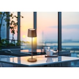 thumbnail of METRO PROFESSIONAL LED tafellamp CAURO set van 2, aluminium/polycarbonaat, Ø 11.5 x 39 cm, USB-aansluiting, dimbaar, bruin