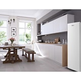 thumbnail of FrigeluX Réfrigérateur armoire tout utile 230L, Blanc RA235BE