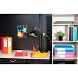 thumbnail of Exacompta - Réf. 50300E - 8 boites de classement Exabox Dos 25mm Carte lustrée - A4 - Couleurs assorties