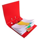 thumbnail of Exacompta 13595E 6x Packung mit 120 Trennstreifen, gelocht, trapezförmig aus Recycling-Papier 180g/qm, 105x240mm - Forever - Farben sortiert