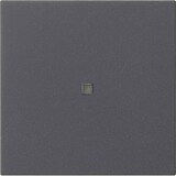 thumbnail of Gira Wippe 1-fach 537128