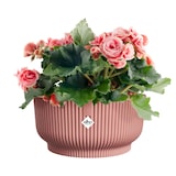thumbnail of elho Vibes Fold Übertopf Ø 14 cm Zartrosa Blumentopf Design-Pflanztopf