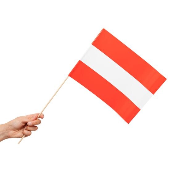 10 Papier Fahnen Österreich 20 x 30 cm Handfahnen