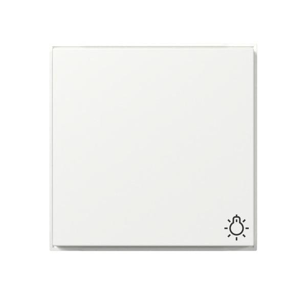 Gira Wippe Symb. Licht 328566