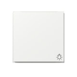 thumbnail of Gira Wippe Symb. Licht 328566