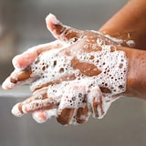 thumbnail of Savon mains bactéricide - 5L - FILFA FRANCE