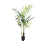 thumbnail of EUROPALMS Großblatt-Areca, Kunstpflanze, 125cm