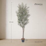thumbnail of Bonerva | Olivo Deco 210 cm Altura | Planta artificial para decorar interiores: hogares, negocios y hoteles | Sin mantenimiento