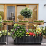 thumbnail of Relaxdays Blumenkasten, 3er Set, Holz, Lattenoptik, Fensterbank und Balkon, HxBxT 12 x 45 x 19,5 cm, Balkonkasten, natur