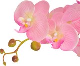 thumbnail of Décoshop26 - Künstliche Orchidee mit Topf 65 cm rosa DEC021905 DEC021905