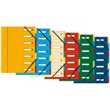 thumbnail of Exacompta - Réf. 5307E - Carton de 8 trieurs HARMONIKA - avec élastiques et fenêtres découpées   - 7 compartiments - pour A4 - couleurs assorties