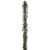 thumbnail of CREATIV green künstliche Pflanze Eukalyptus-Girlande, 180cm, graugrün, im 2er Set