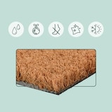 thumbnail of Relaxdays Fußmatte Kokos Moin, 25x75 cm, Schmutzfangmatte, wetterfest & rutschfest, Fußabtreter innen & außen, natur