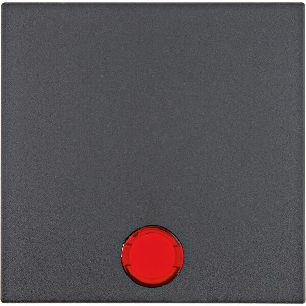 Berker Wippe anth matt 16211606